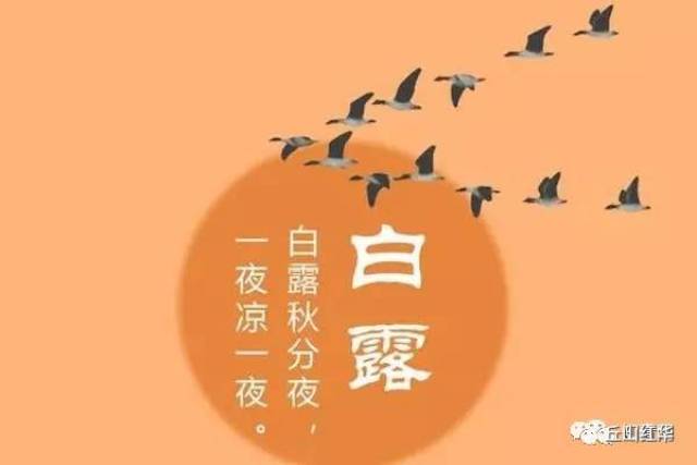 白露秋分夜 一夜凉一夜